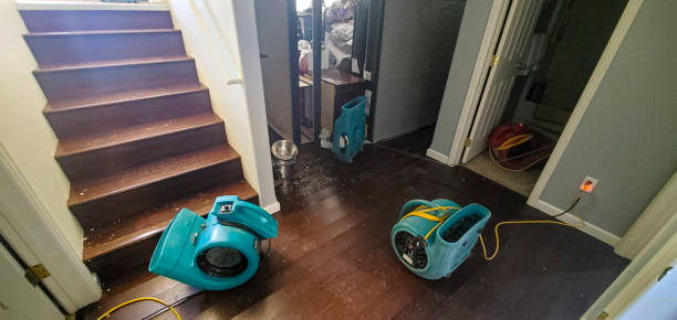 Best Carpet water damage restoration  in Beattyville, KY