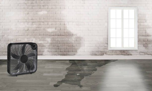 Best Flood restoration services  in Beattyville, KY