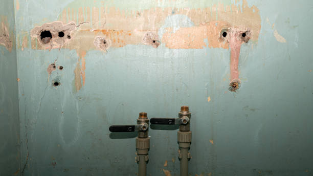 Best Water damage contractors near me  in Beattyville, KY