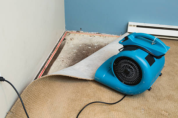  Beattyville, KY Water damage restoration Pros